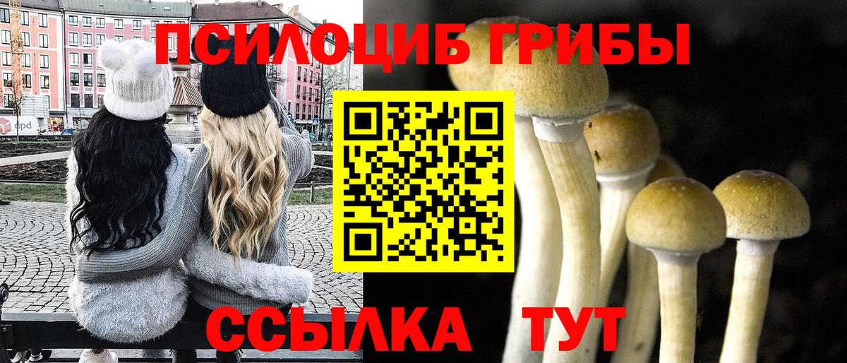 Воронеж  Галлюциногенные грибы ЛСД  Псилоцибиновые грибы мицелий  Вход с VPN 