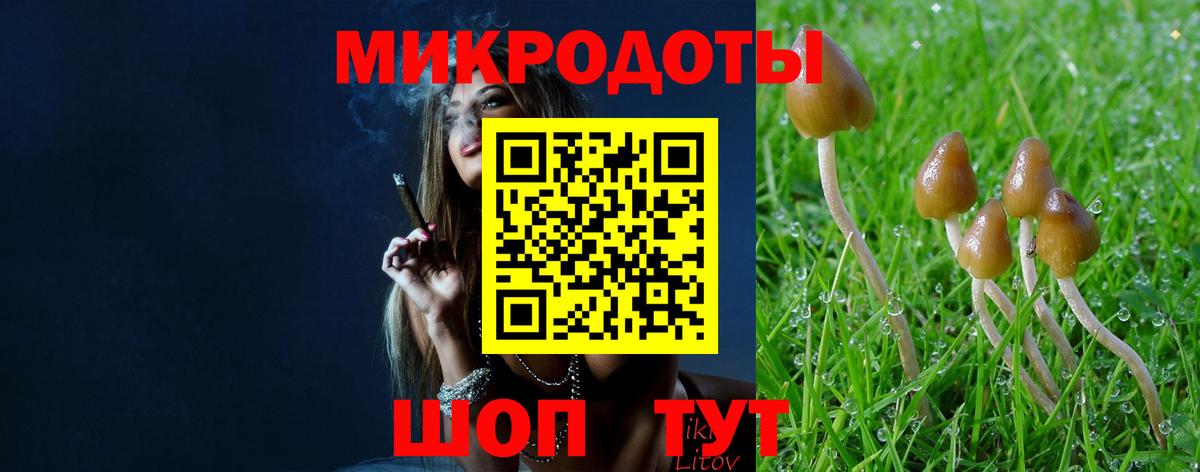 Псилоцибиновые грибы GOLDEN TEACHER Воронеж